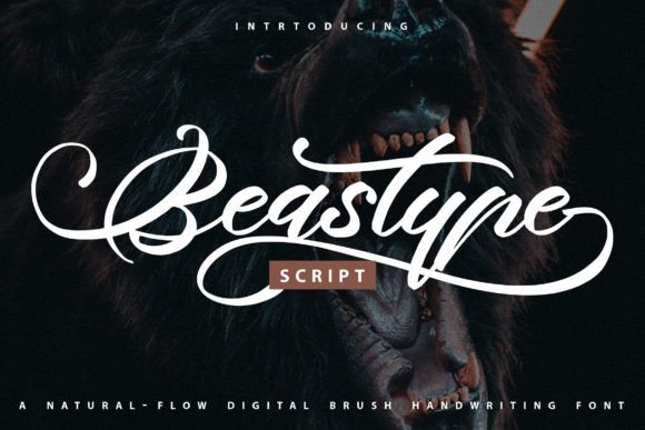 Beastype: A Modern Brush Script Font for Elegant Branding
