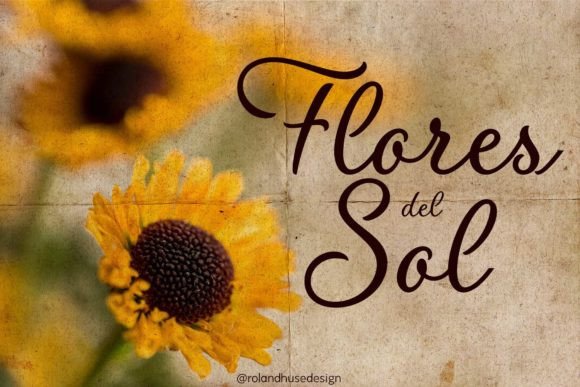 Flores Del Sol: A Script Handwritten Font for Editorial Elegance