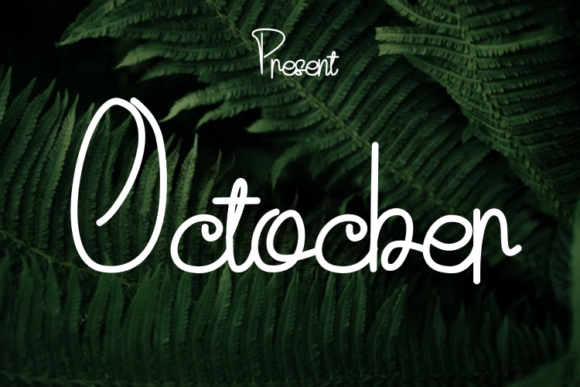 Octocber: A Modern Script Handwritten Font for Elegant Digital Branding